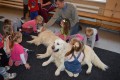 Kalētu pirmsskolas bērni iepazīst kanisterapijas suņus 07.12.2016.